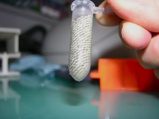 http://www.igmm.cnrs.fr/wp-content/uploads/2017/06/Fischer_Team2.jpg