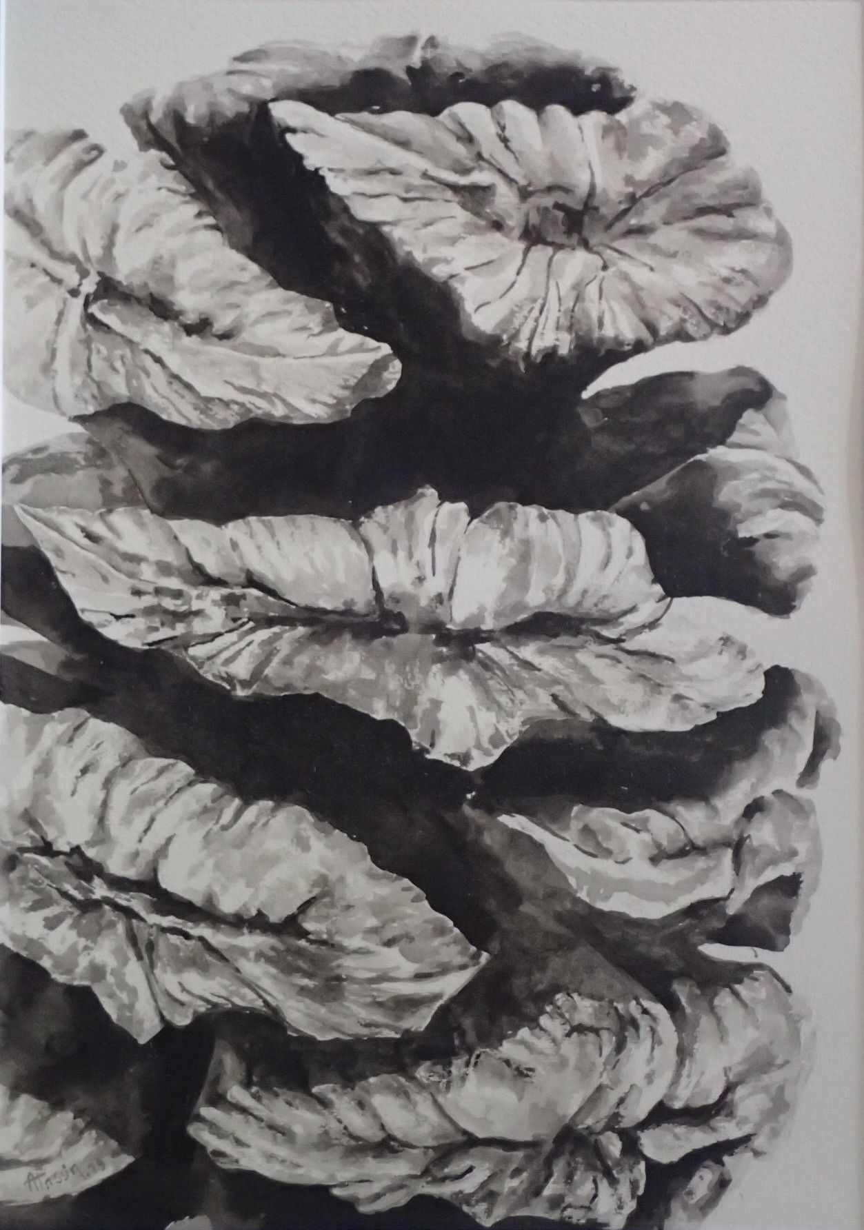 ANNE TASSIN
